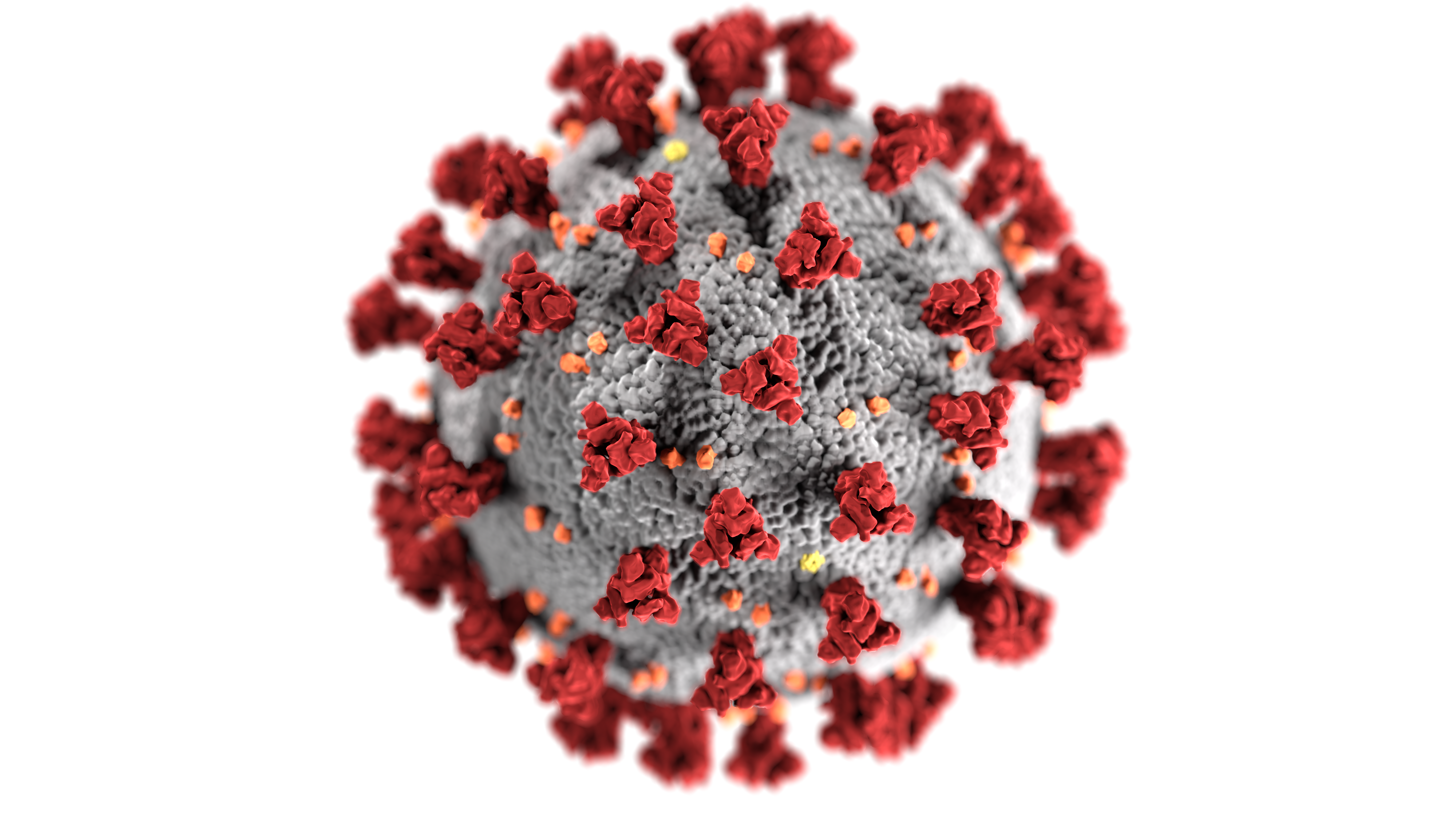 Illustration of coronavirus