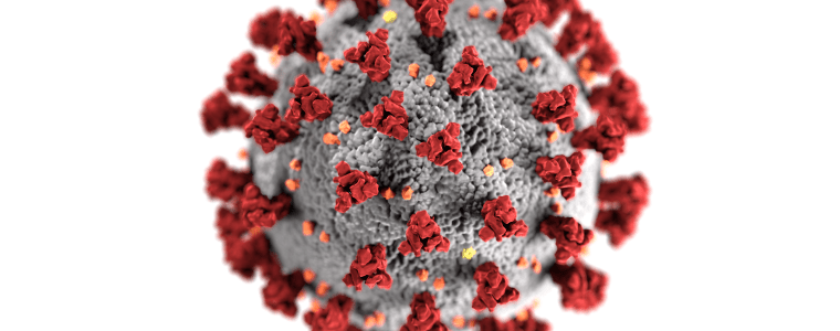Illustration of coronavirus