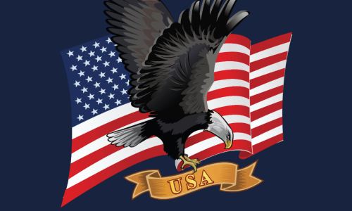 Bald eagle and American flag honoring U.S. veterans with message from Shoal Creek Foot & Ankle Center